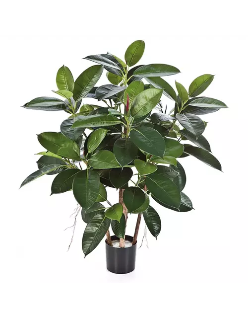 fleur ami FICUS ELASTICA Kunstpflanze