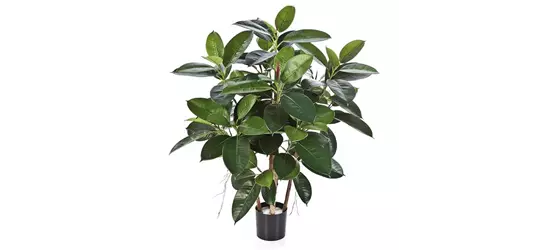 fleur ami FICUS ELASTICA Kunstpflanze