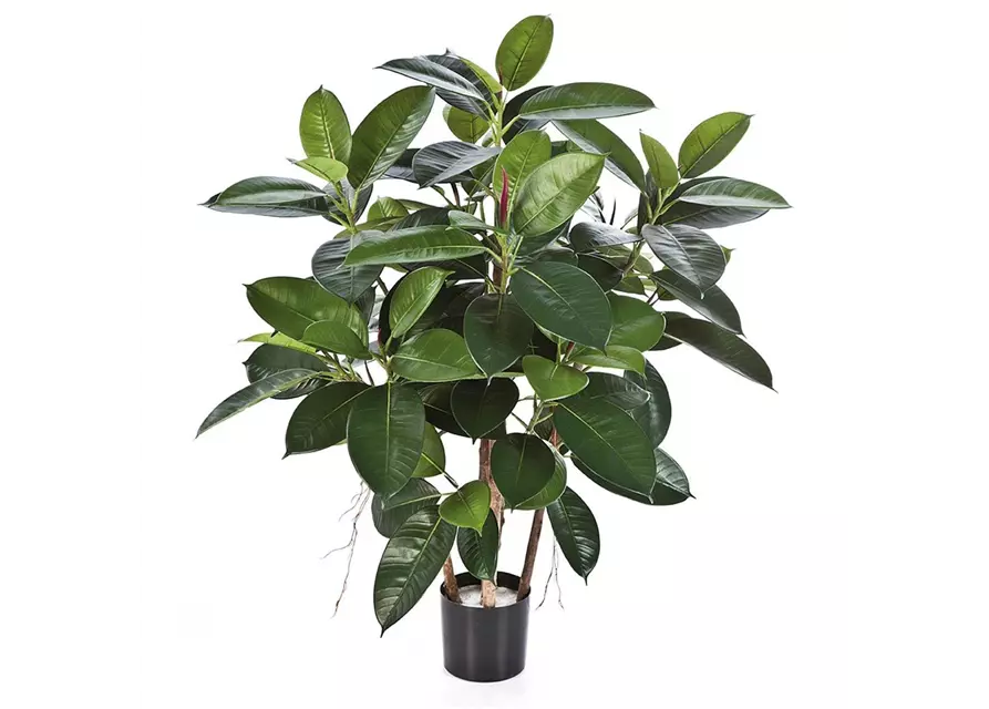 fleur ami FICUS ELASTICA Kunstpflanze