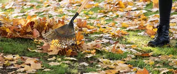 Die wichtigste Gartenarbeit vor dem Winter