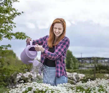 Frühling ist Pflanzzeit – ab in den Garten!