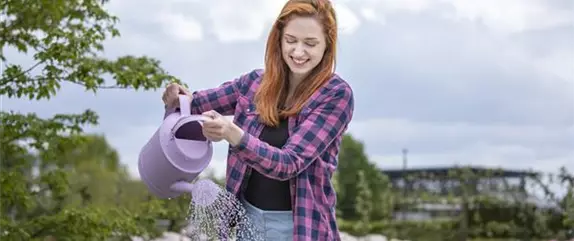 Pflanzen gießen im Sommer – so machen Sie es richtig!