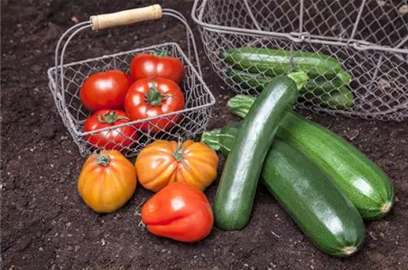 So bekommen Sie Gemüse aus dem eigenen Garten