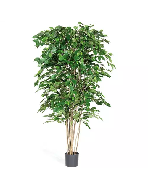 fleur ami FICUS EXOTICA DELUXE Kunstpflanze