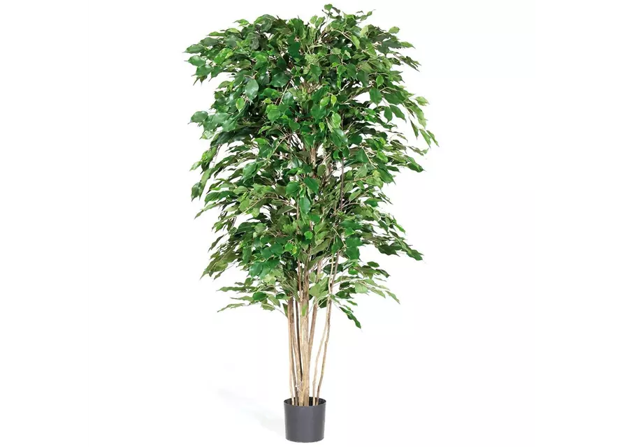 fleur ami FICUS EXOTICA DELUXE Kunstpflanze