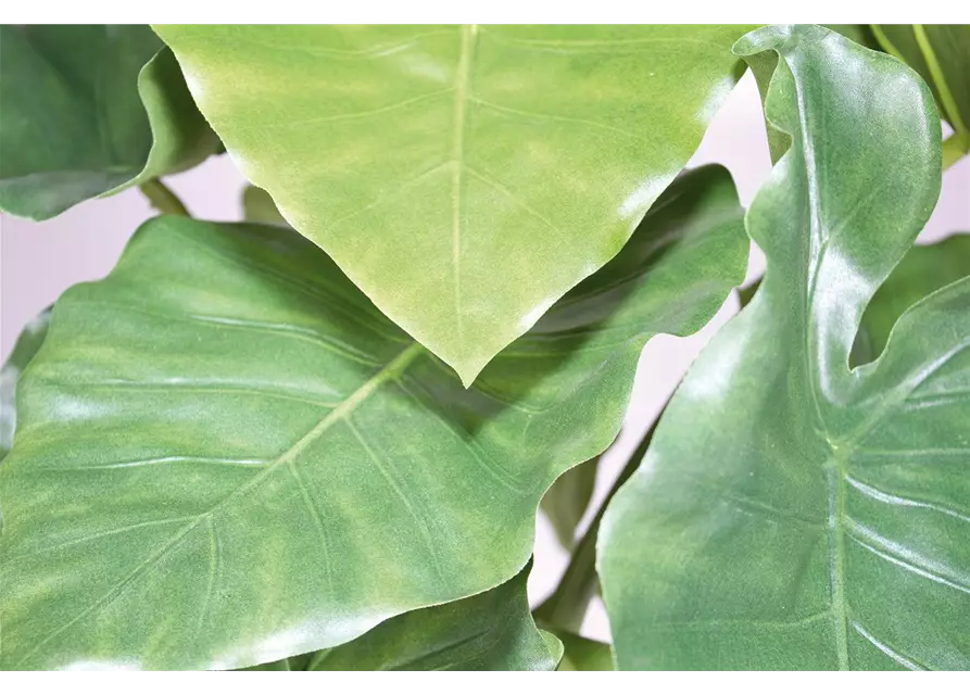 fleur ami ALOCASIA CALIDORA DELUXE Kunstpflanze