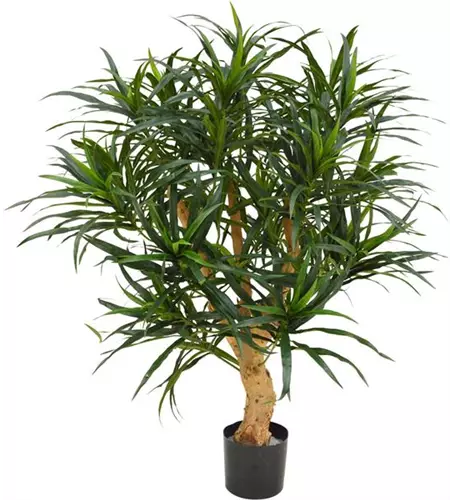 fleur ami DRACAENA REFLEXA Kunstpflanze