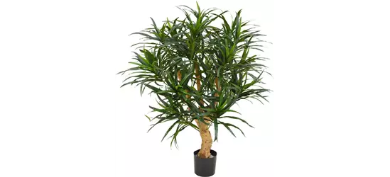 fleur ami DRACAENA REFLEXA Kunstpflanze