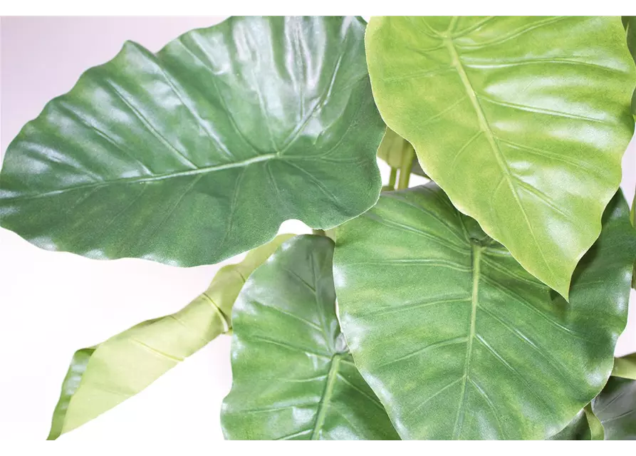 fleur ami ALOCASIA CALIDORA DELUXE Kunstpflanze