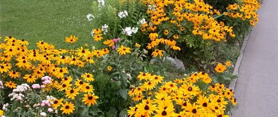 Es ist soweit: der Frühjahrsputz im Garten