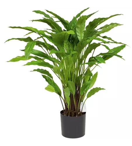 fleur ami CALATHEA Kunstpflanze