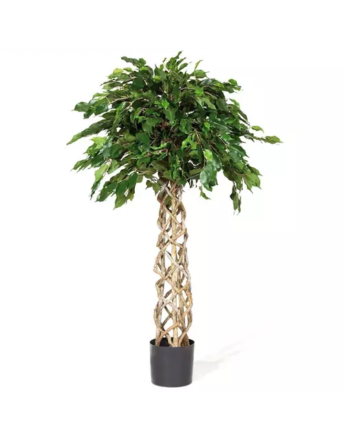 fleur ami FICUS EXOTICA KUGEL Kunstpflanze