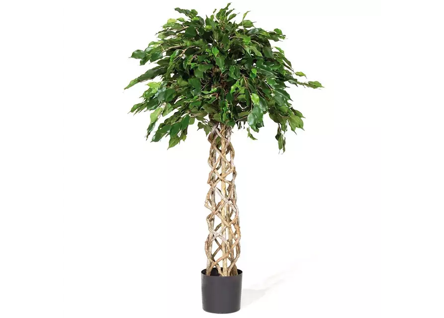 fleur ami FICUS EXOTICA KUGEL Kunstpflanze