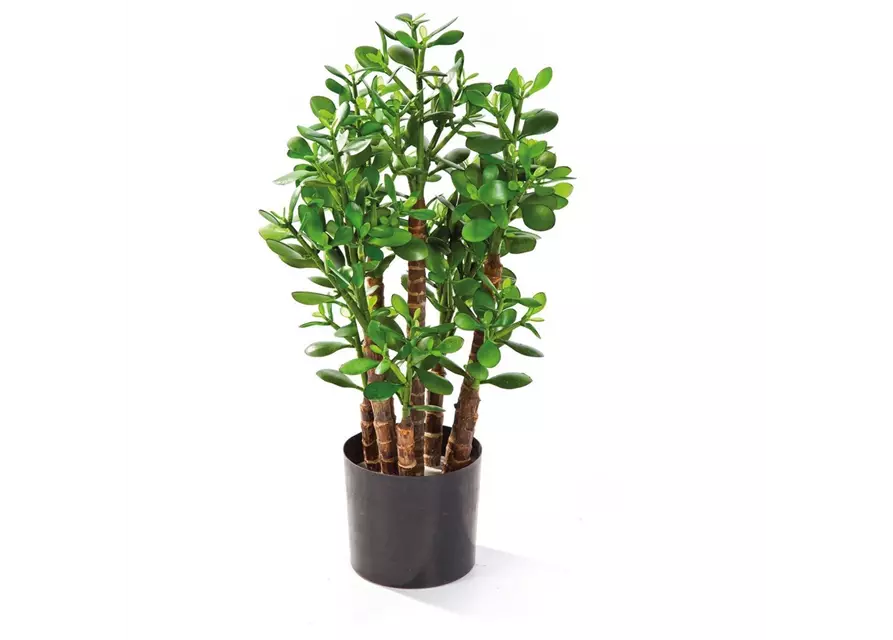 fleur ami CRASSULA OVATA Kunstpflanze