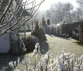 Die wichtigste Gartenarbeit vor dem Winter