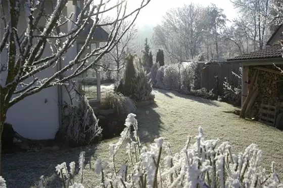 Die wichtigste Gartenarbeit vor dem Winter