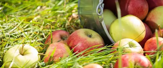 Die wichtigste Gartenarbeit vor dem Winter