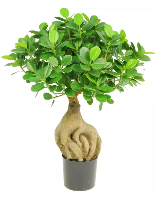 fleur ami FICUS PANDA BONSAI Kunstpflanze