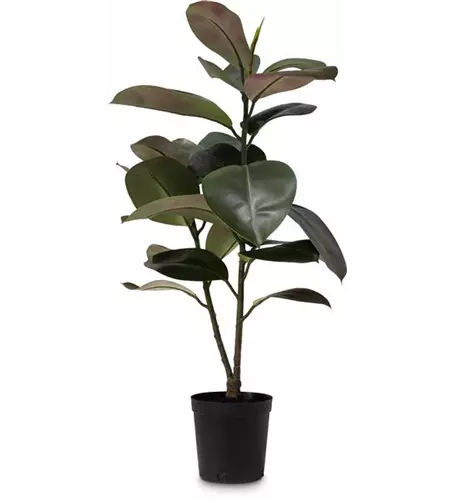 fleur ami FICUS ELASTICA Kunstpflanze