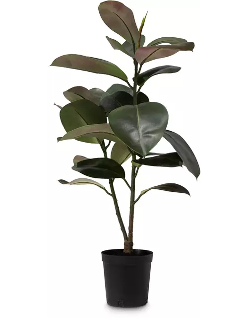 fleur ami FICUS ELASTICA Kunstpflanze