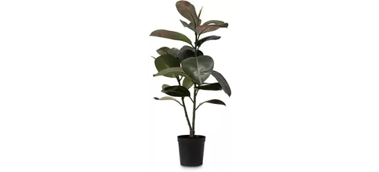 fleur ami FICUS ELASTICA Kunstpflanze