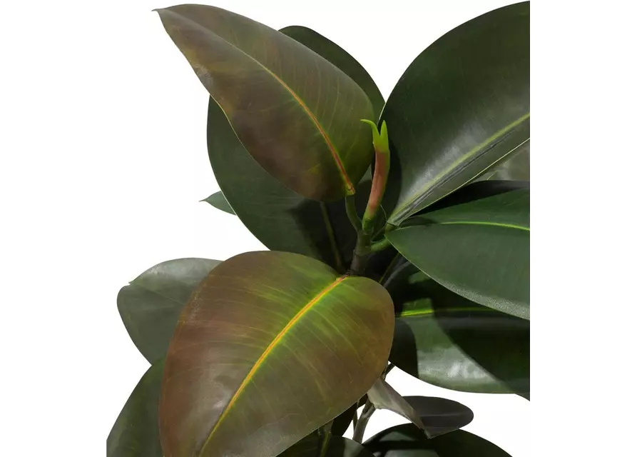 fleur ami FICUS ELASTICA Kunstpflanze