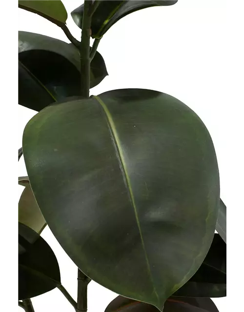 fleur ami FICUS ELASTICA Kunstpflanze