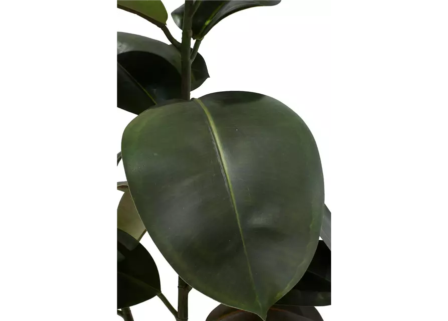 fleur ami FICUS ELASTICA Kunstpflanze