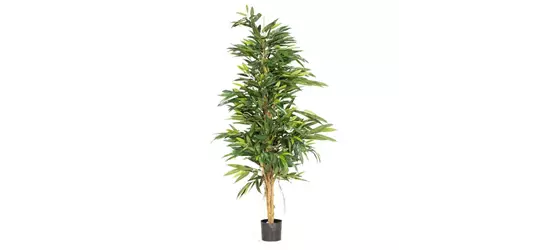 fleur ami LONGIFOLIA ROYAL NATURAL Kunstpflanze