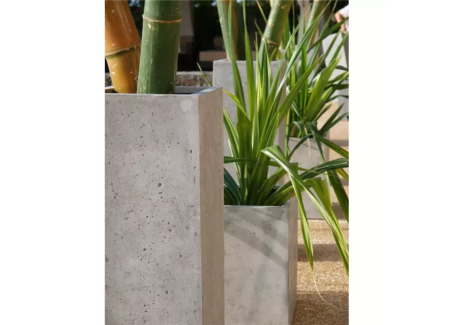 fleur ami POLYSTONE SQUARE Pflanzgefäß