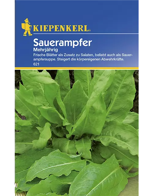 Sauerampfer Mehrjährig