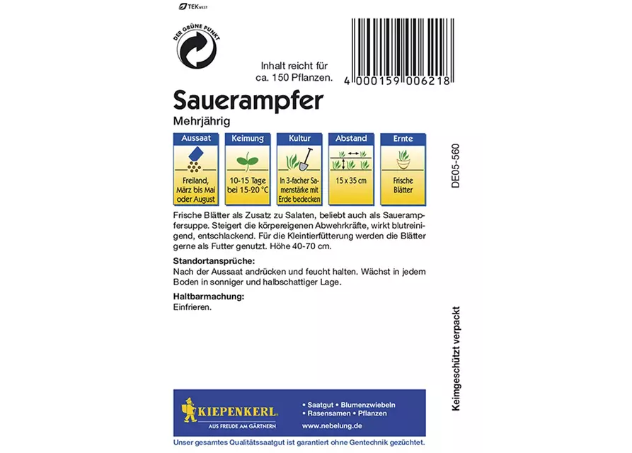 Sauerampfer Mehrjährig