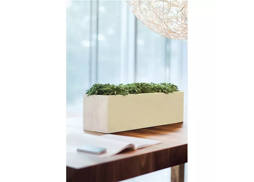 fleur ami POLYSTONE FLOWERBOX Tischgefäß