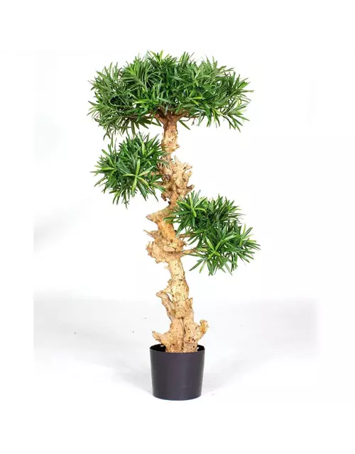 fleur ami PODOCARPUS BONSAI Kunstpflanze