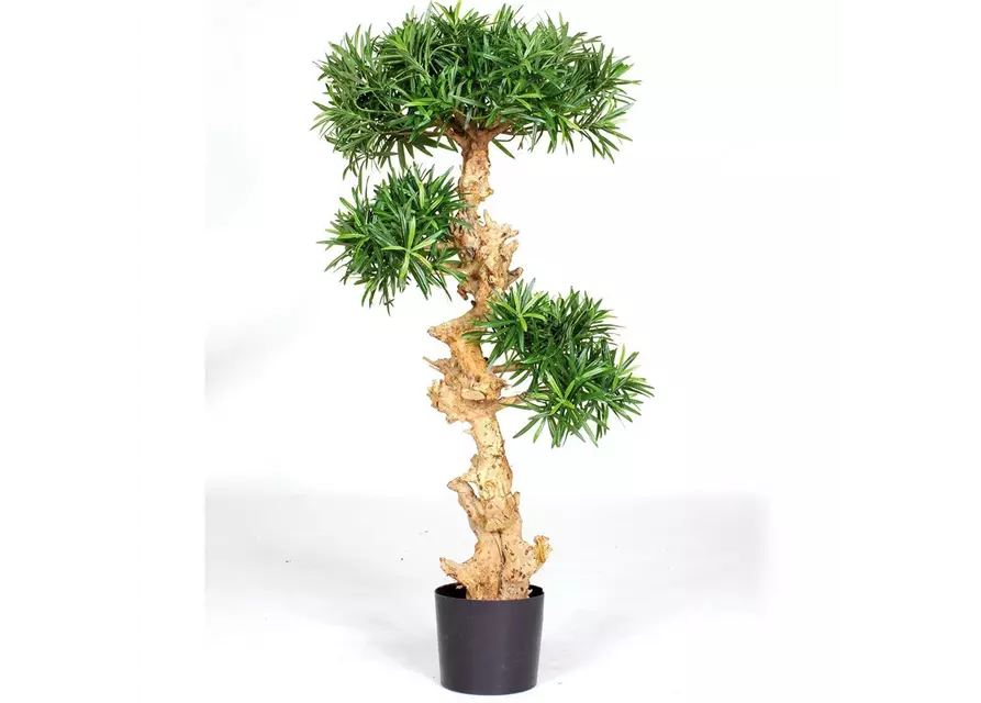 fleur ami PODOCARPUS BONSAI Kunstpflanze