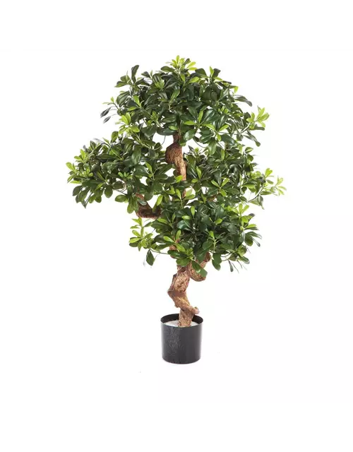 fleur ami PITTOSPORUM Kunstpflanze