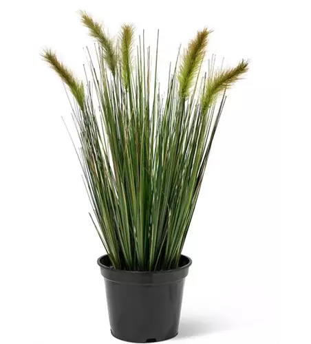 fleur ami FOXTAIL GRAS Kunstpflanze