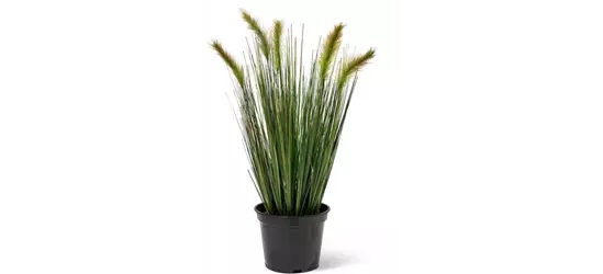 fleur ami FOXTAIL GRAS Kunstpflanze