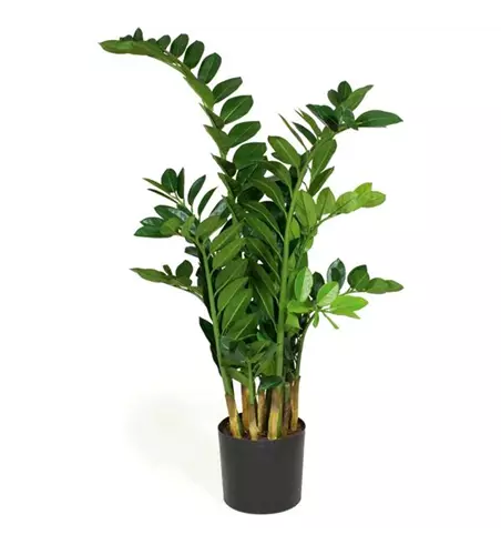 fleur ami ZAMIOCULCAS Kunstpflanze