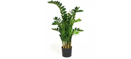 fleur ami ZAMIOCULCAS Kunstpflanze