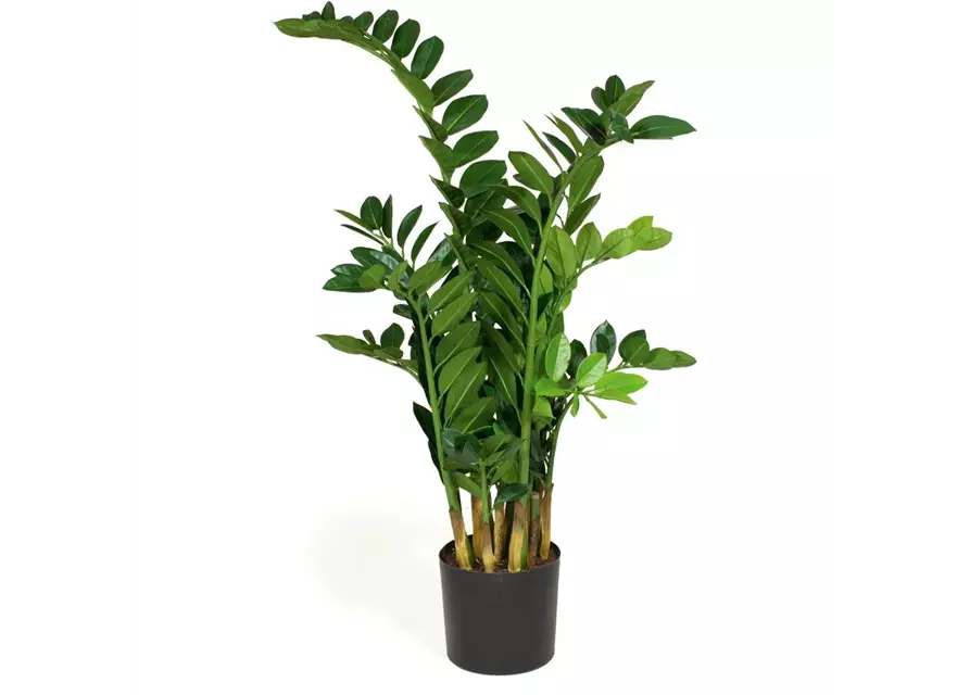 fleur ami ZAMIOCULCAS Kunstpflanze