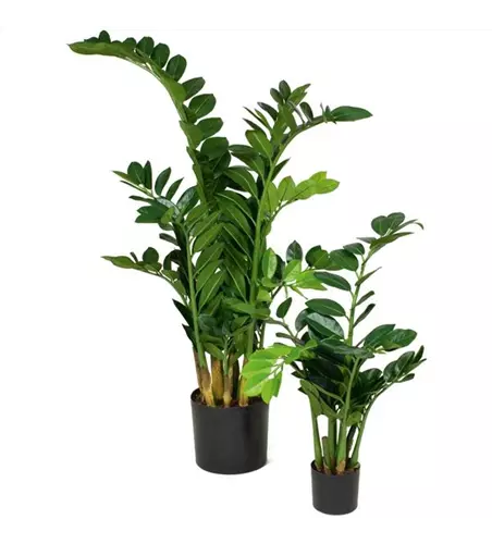 fleur ami ZAMIOCULCAS Kunstpflanze