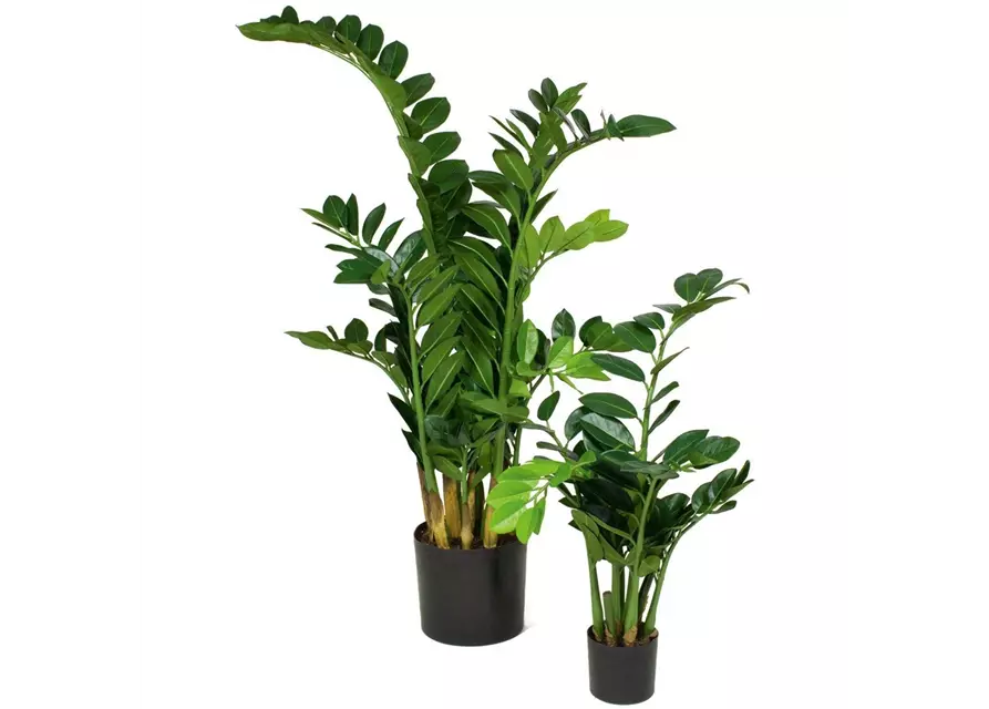 fleur ami ZAMIOCULCAS Kunstpflanze