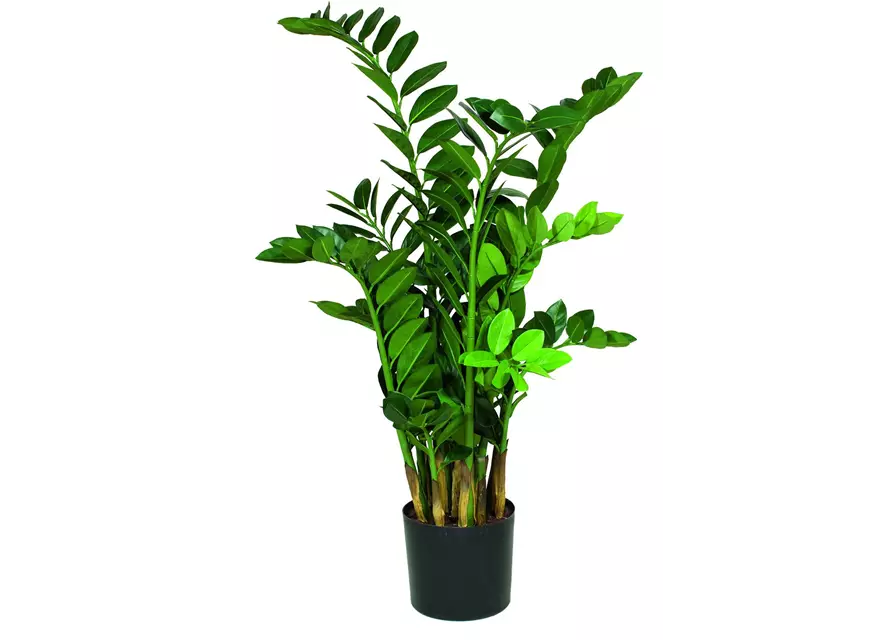 fleur ami ZAMIOCULCAS Kunstpflanze