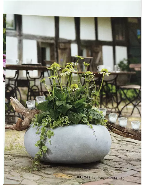 fleur ami POLYSTONE DONUT Pflanzgefäß