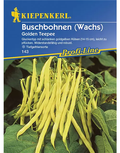 Buschbohne Golden Teepee