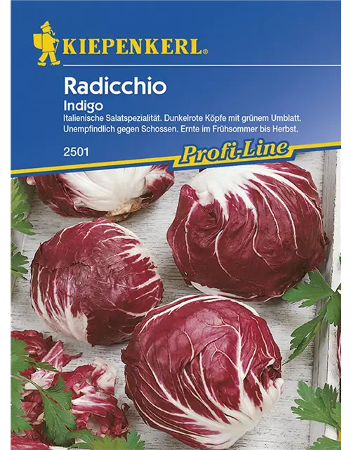 Radicchio Indigo