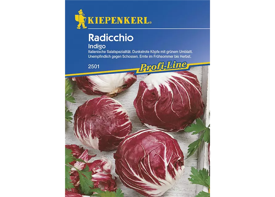 Radicchio Indigo