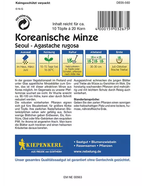 Koreanische Minze Seoul