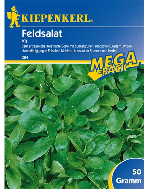 Feldsalat Vit